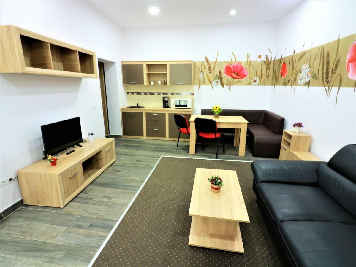 Flowers House Sibiu Ngoại thất bức ảnh
